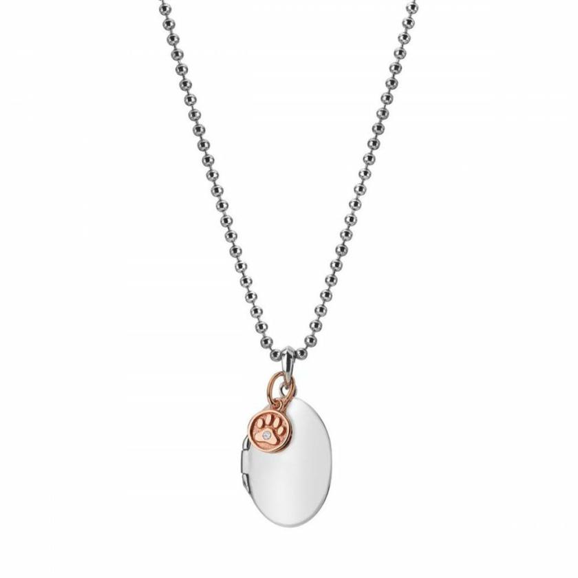 Necklaces & Pendants | Womens Memories Locket with Rose Gold Plated Paw Jewellery Type Necklaces & Pendants