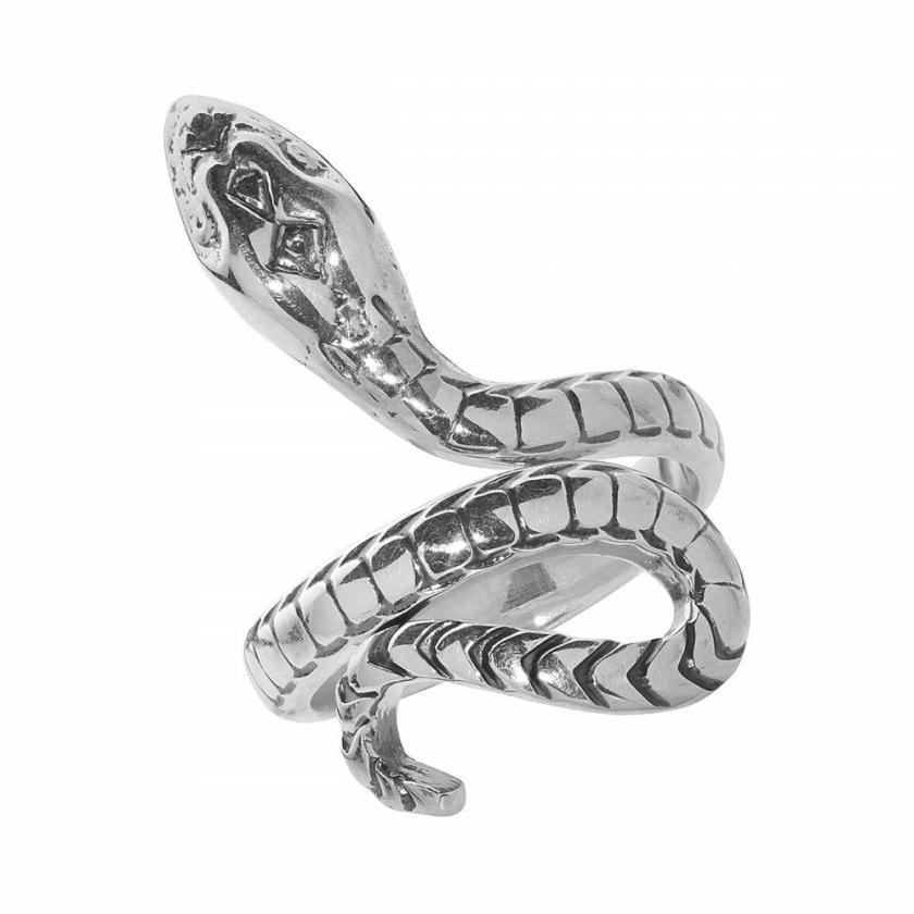 Rings | Womens Silver Snake Wrap Ring Jewellery Type Rings